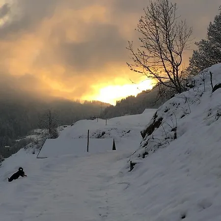 Christall 게스트하우스 3*